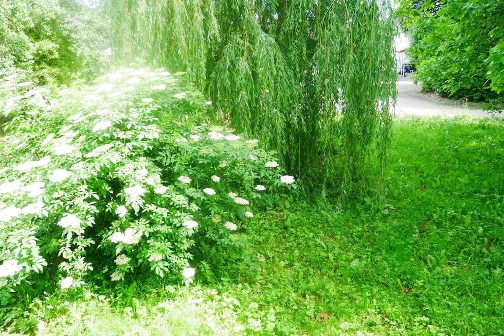 גוטנהיים Ferienwohnung Im Gruenen מראה חיצוני תמונה